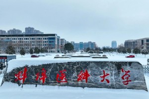 蚌埠的医学院有哪些