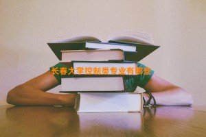 长春大学控制类专业有哪些