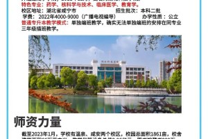 咸宁有哪些大学即将入驻