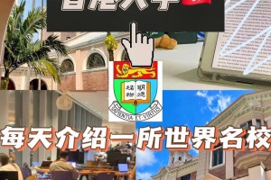 香港 大学 待遇怎么样啊