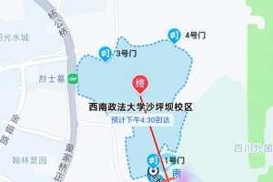 沙坪坝一共有哪些大学