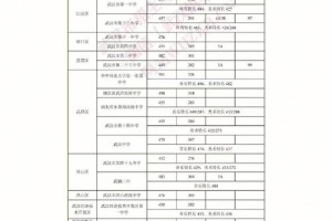 武汉3十2学校怎么录取