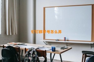 钉钉群学号怎么弄