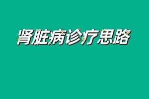 关于肾脏病有哪些课题