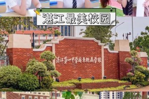 湛江章麻区有哪些大学