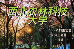 西农右任学院怎么进