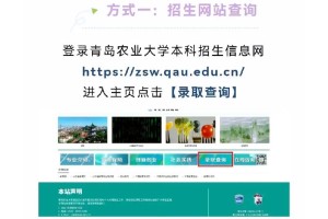 青岛农业大学怎么查分