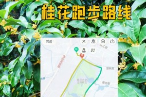 复旦大学哪里可以跑步