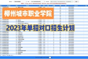 柳州城市职业学院怎么缴费