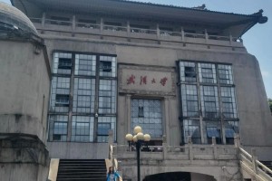 武汉大学在哪里个市