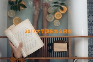 2017大学现在怎么招生