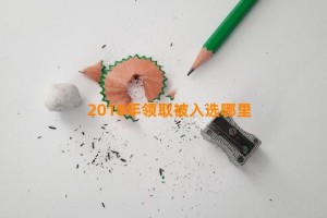 2018年领取被入选哪里