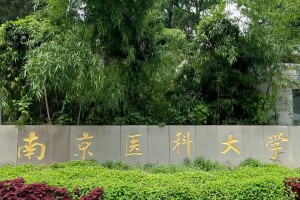 医科大学是哪里