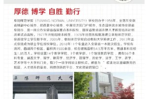 阜阳市都有哪些大学