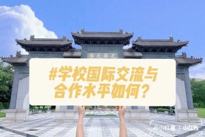 西财对外合作怎么样