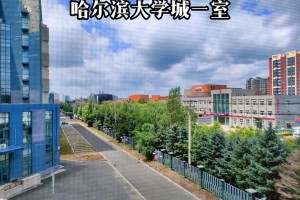 哈尔病大学都有哪些