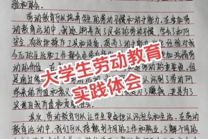 大学体验式实践怎么写