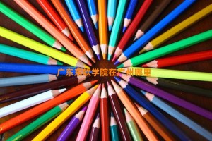 广东东软学院在广州哪里