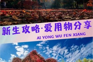 山东大学怎么处理的