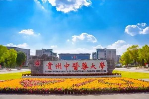 贵州市中医大学在哪里