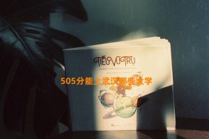 505分能上武汉哪些大学