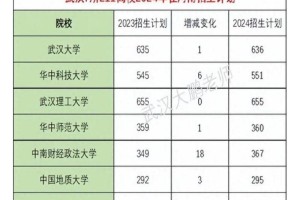 湖北省211有哪些学校