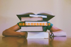 昭通公办学校有哪些大学