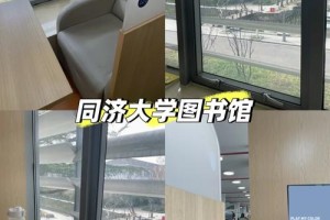 同济大学周向红是哪里