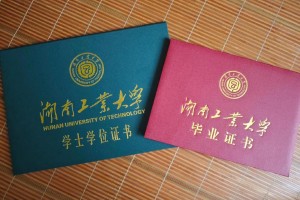 中科大学位办在哪里