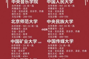 音乐生大学应该怎么做