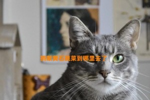 捐献黄石蔬菜到哪里去了