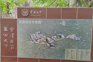 云南大学支教都去哪里