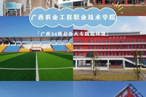 广西区域的大学有哪些