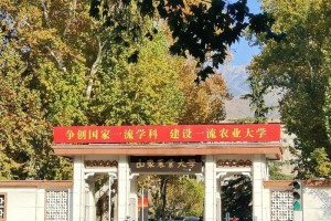 山东林业大学在哪里