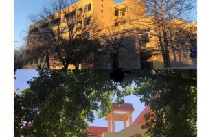 青岛交通大学在哪里