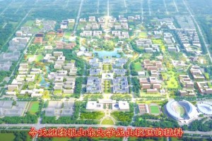 山东大学怎么安排校区