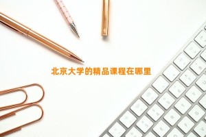 北京大学的精品课程在哪里