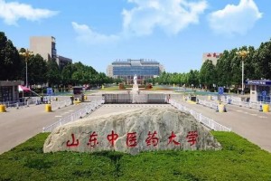 山东有哪些中医专业大学