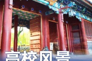 北京大学学校的地址在哪里