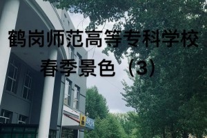 鹤岗师范学院师资怎么样