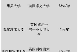 本科中外合作大学有哪些