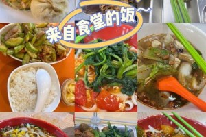 河北外国语食堂怎么样