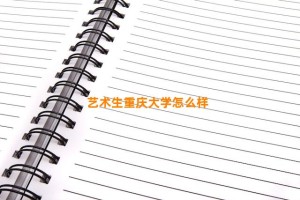 艺术生重庆大学怎么样