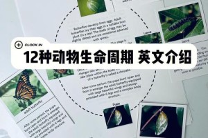 生命学院的英文怎么说