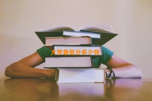 大学最低分多少钱