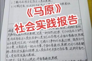 大学社会实践项目怎么获奖