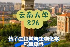 云南大学的化工怎么样