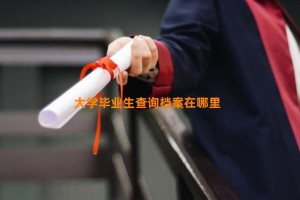 大学毕业生查询档案在哪里