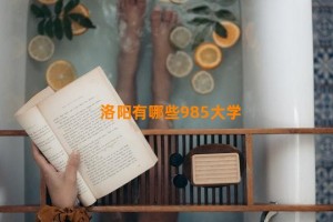 洛阳有哪些985大学