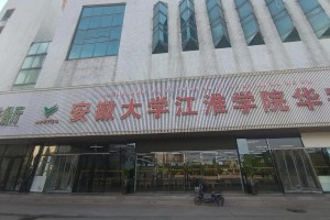 安徽大学江淮学院哪个好